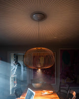 Spokes Suspension Lamp