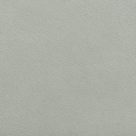 Gray Leather