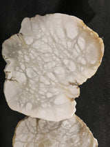Hansen Alabaster Coffee Table
