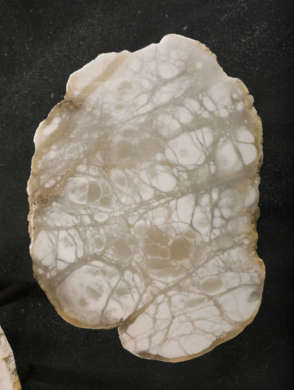 Hansen Alabaster Coffee Table