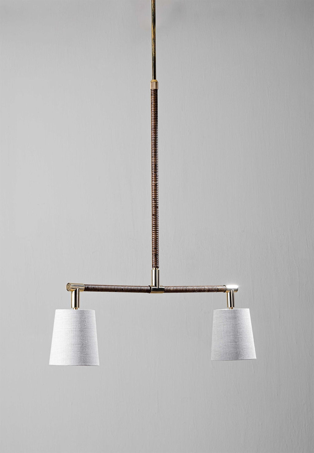 Holden Linear Pendant Downlight