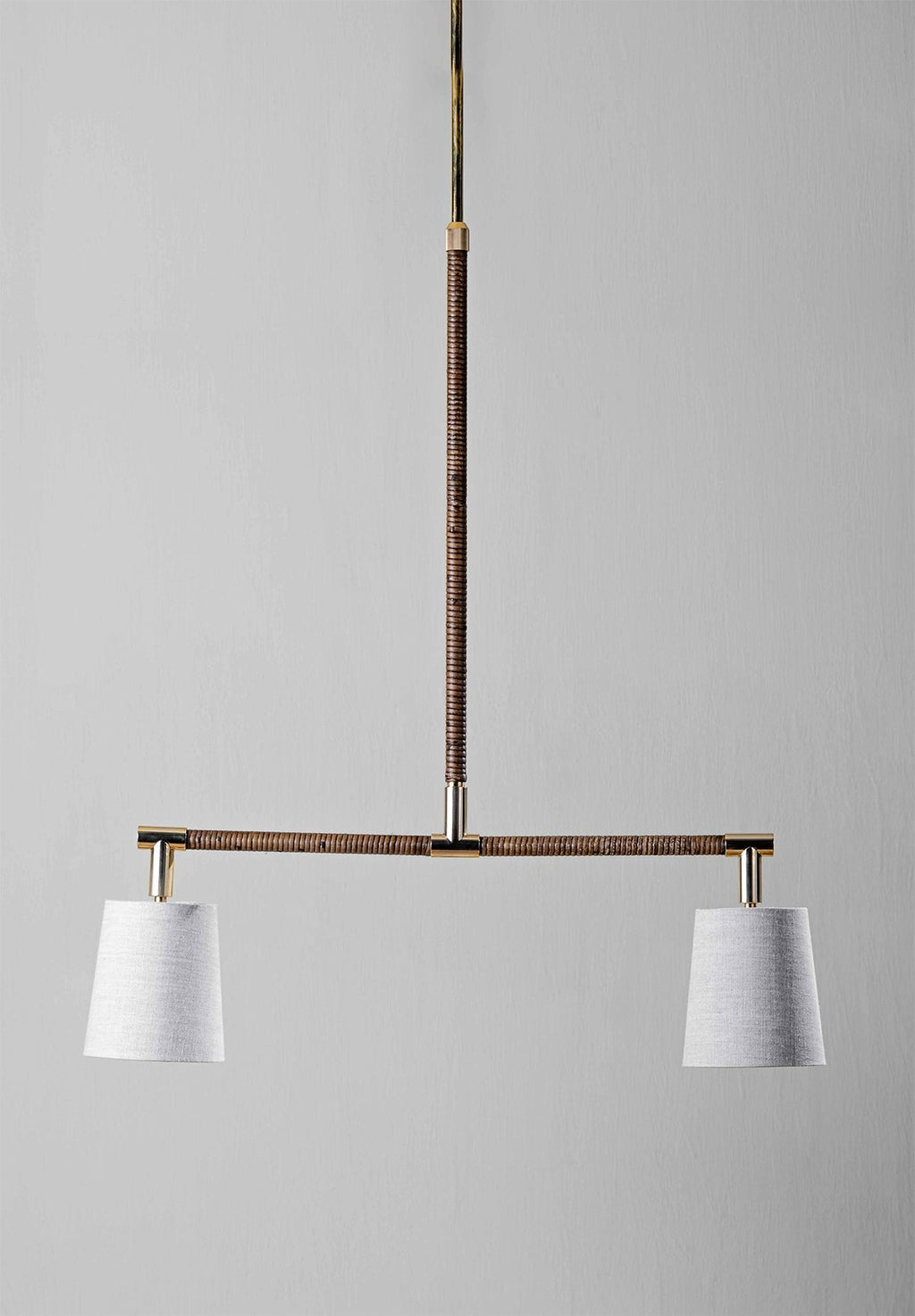 Holden Linear Pendant Downlight