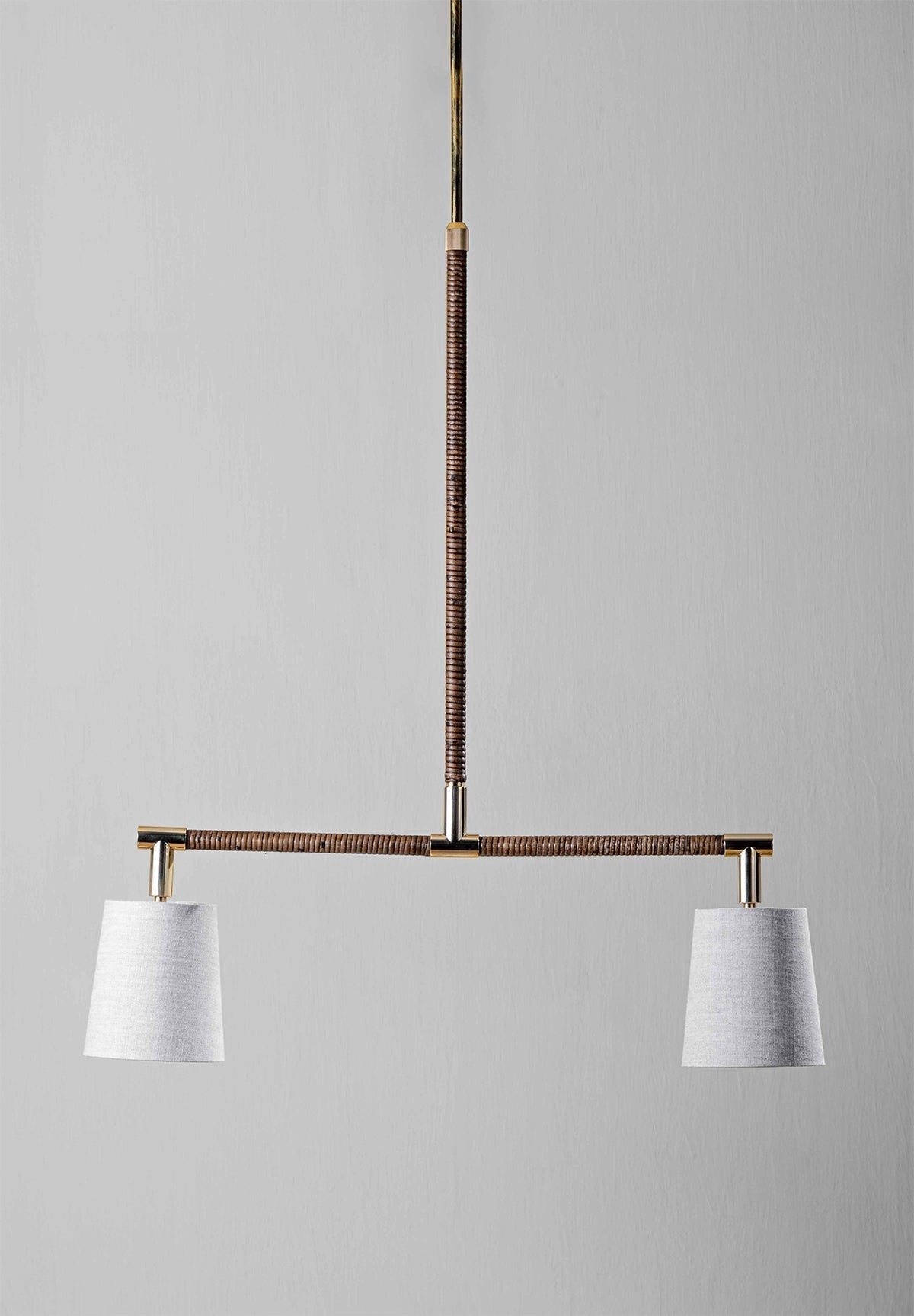 Holden Linear Pendant Downlight