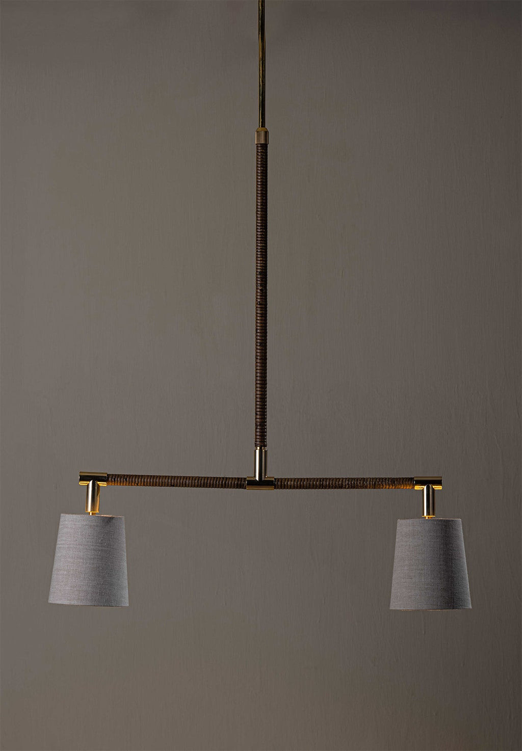 Holden Linear Pendant Downlight