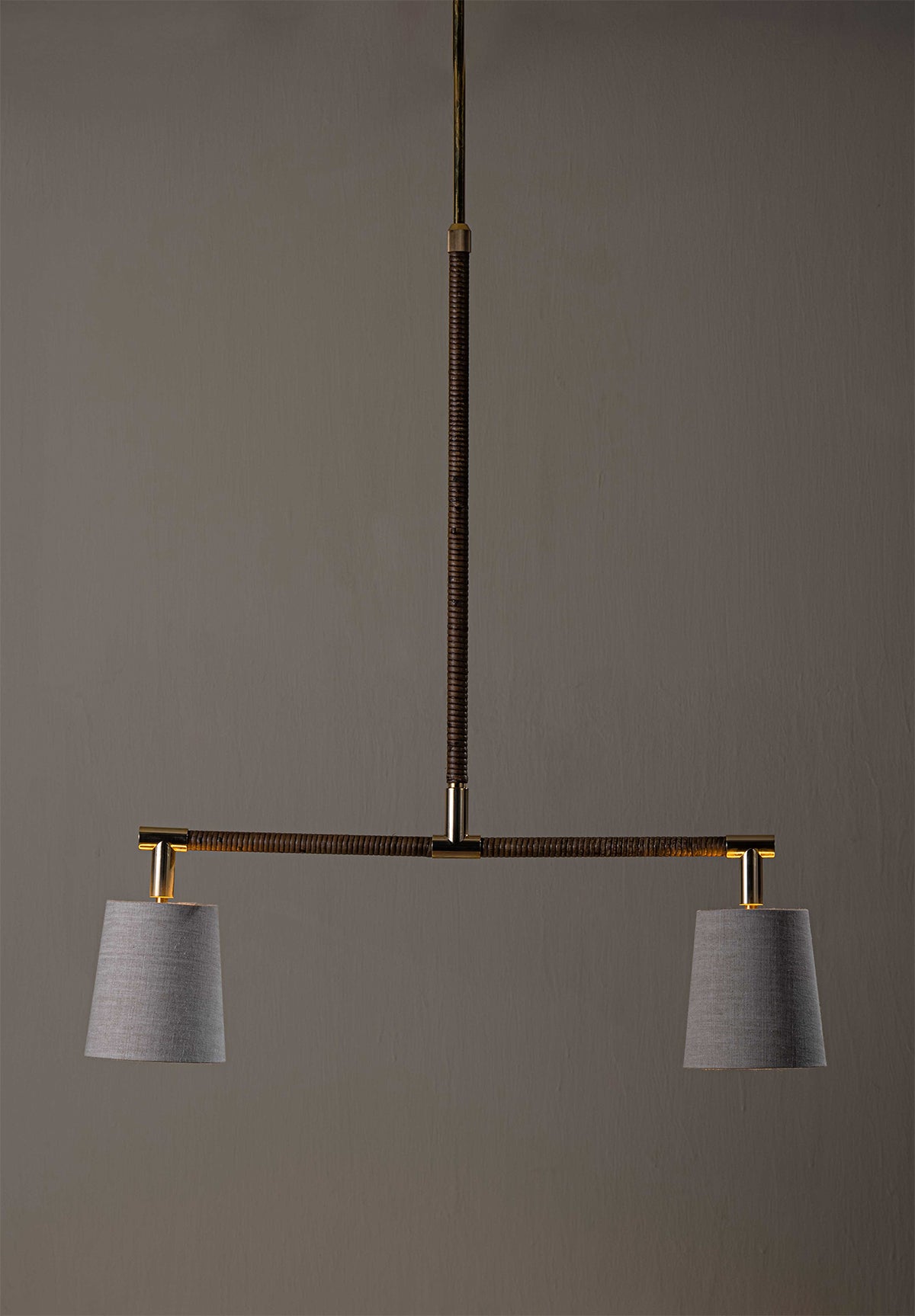 Holden Linear Pendant Downlight