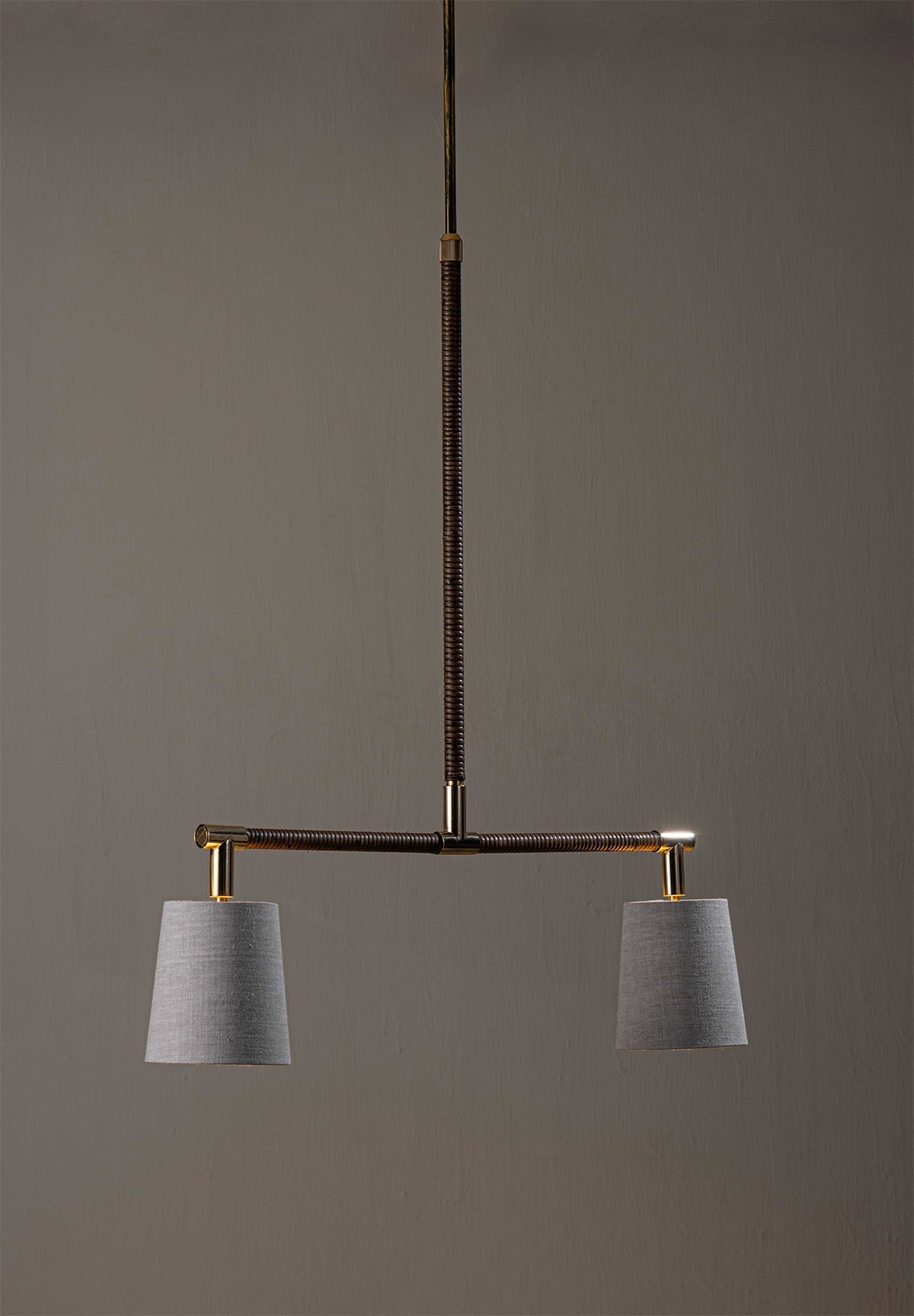Holden Linear Pendant Downlight