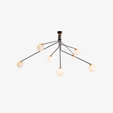 Hoskins Ceiling Lamp