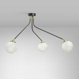 Hoskins Ceiling Lamp