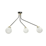 Hoskins Ceiling Lamp