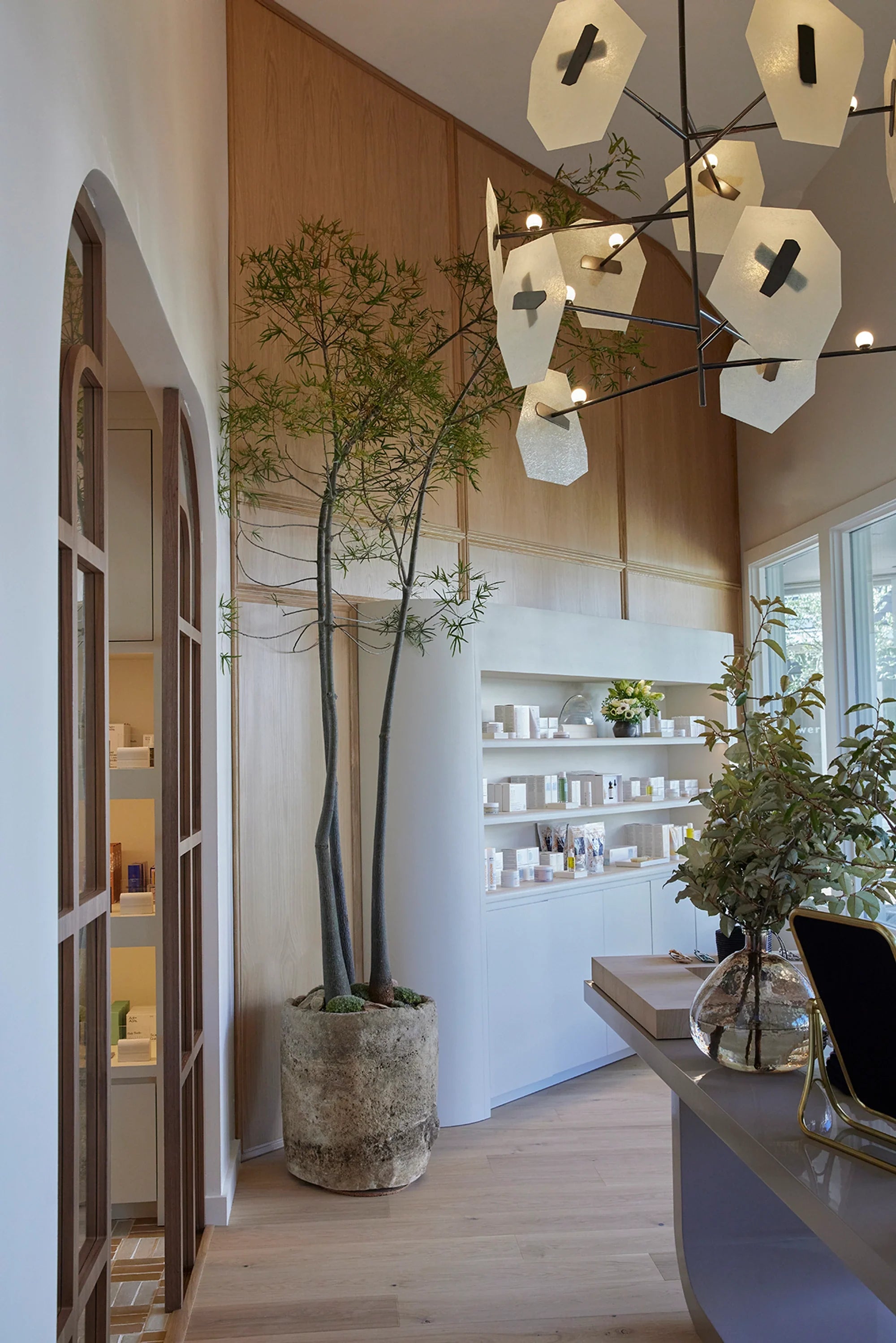 Index 11 Chandelier