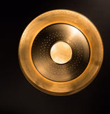 Iris Odyssey Sconce