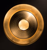 Iris Pendant Lamp