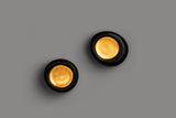 Iris Sconce