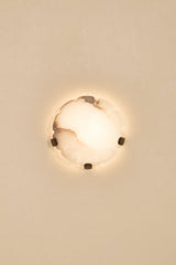 Jellyfish Sconce