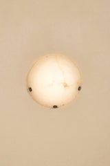 Jellyfish Sconce