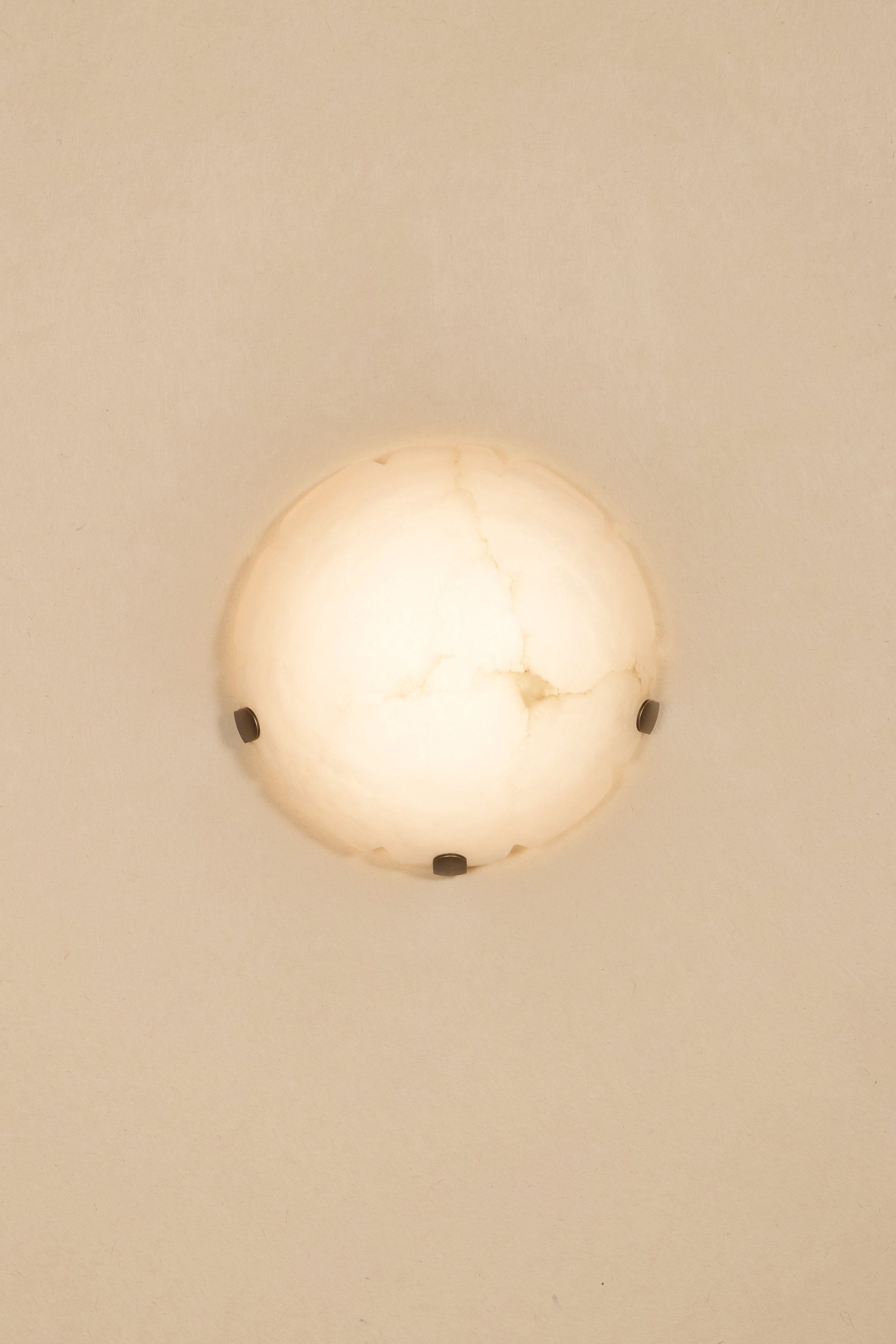 Jellyfish Sconce