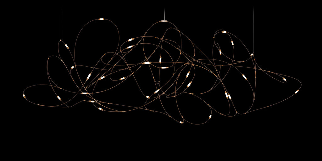 Flock of Light