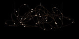 Flock of Light