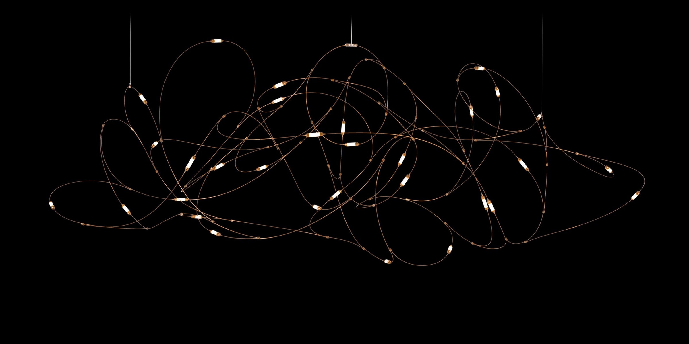 Flock of Light