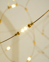 Flock of Light