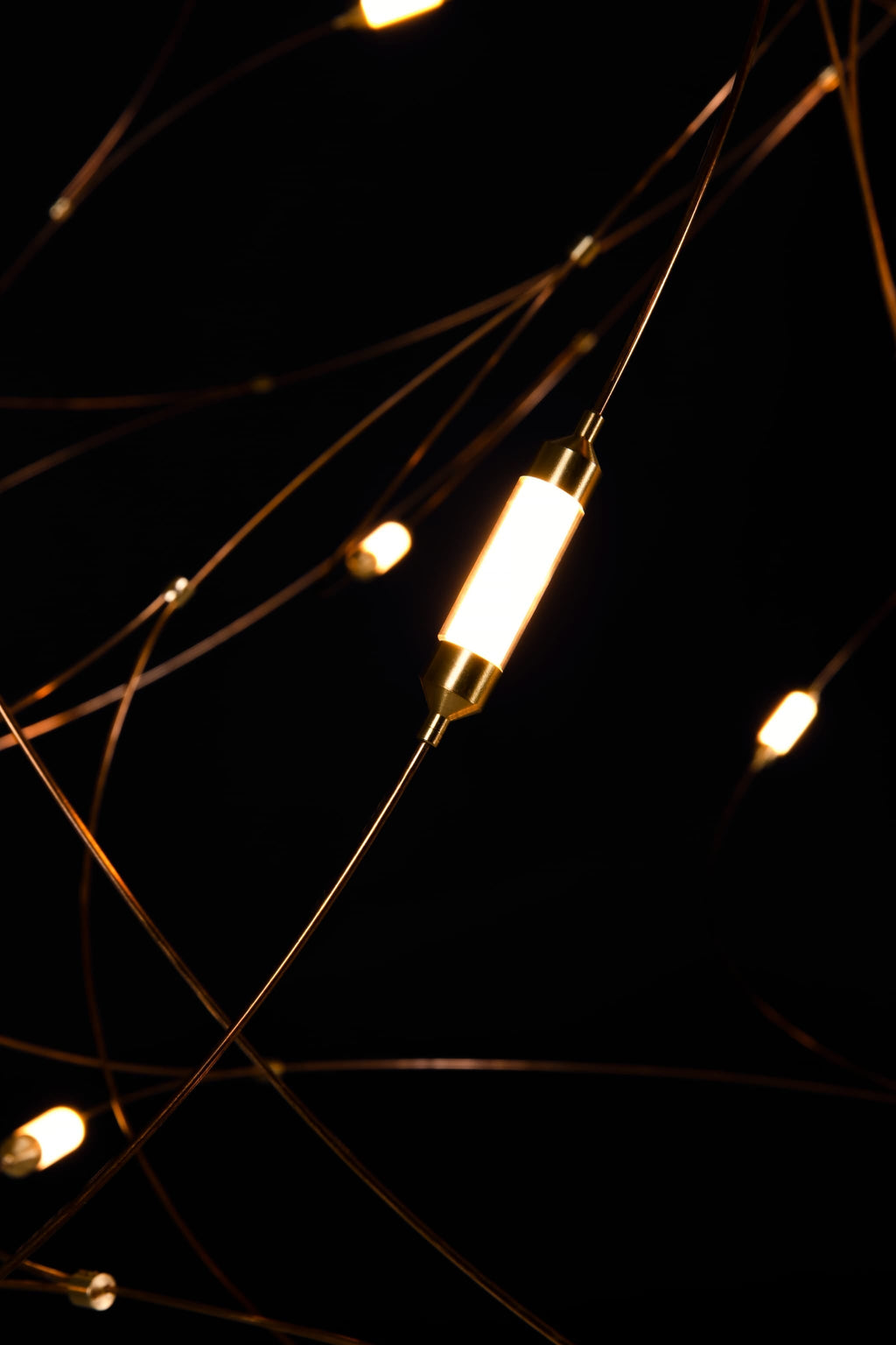 Flock of Light