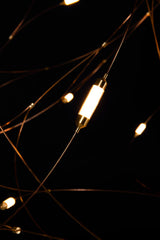 Flock of Light