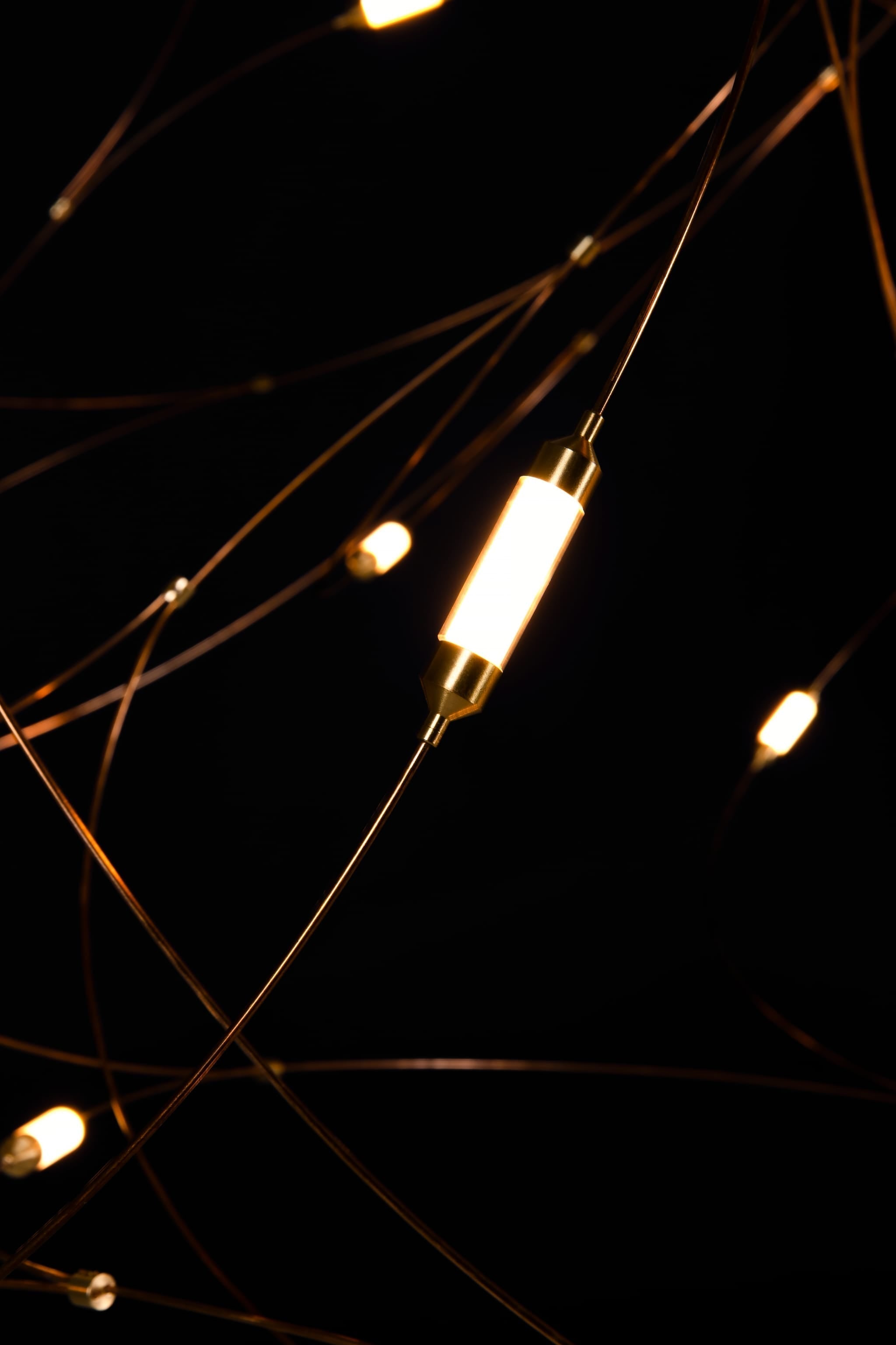 Flock of Light