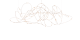 Flock of Light