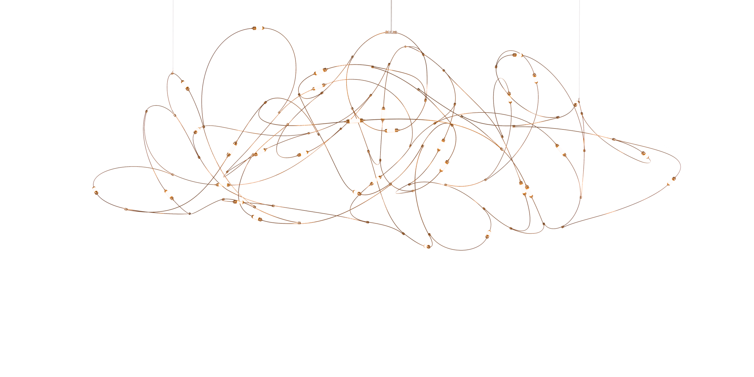 Flock of Light