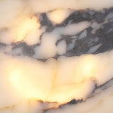Kandra Wall Sconce