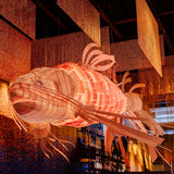 Koi Suspension Lamp