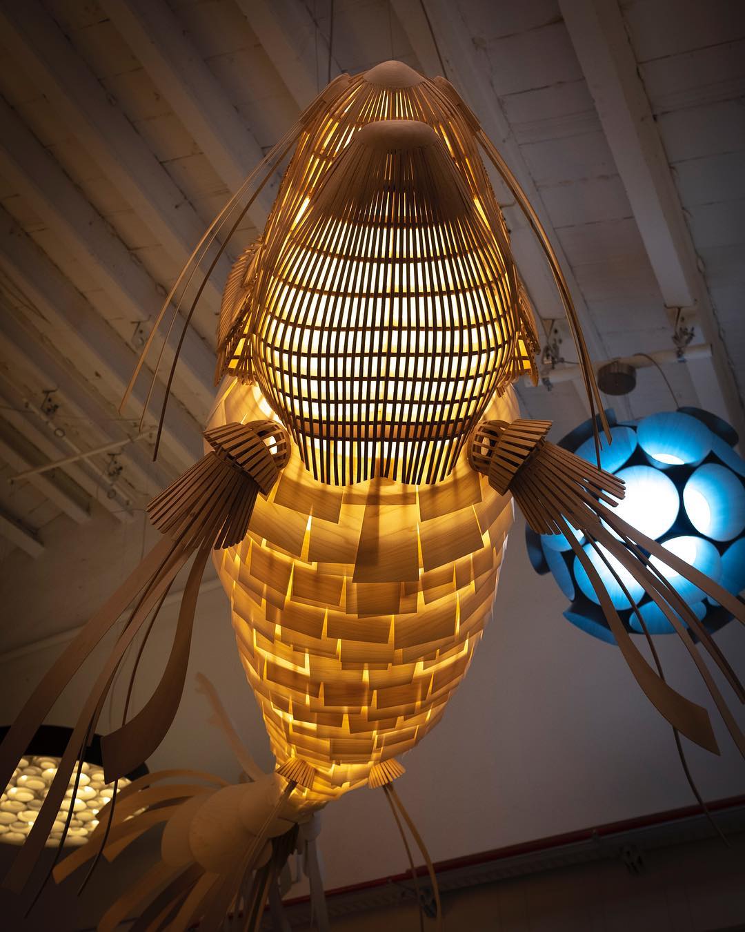 Koi Suspension Lamp