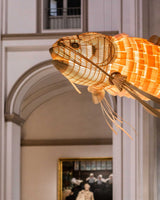 Koi Suspension Lamp