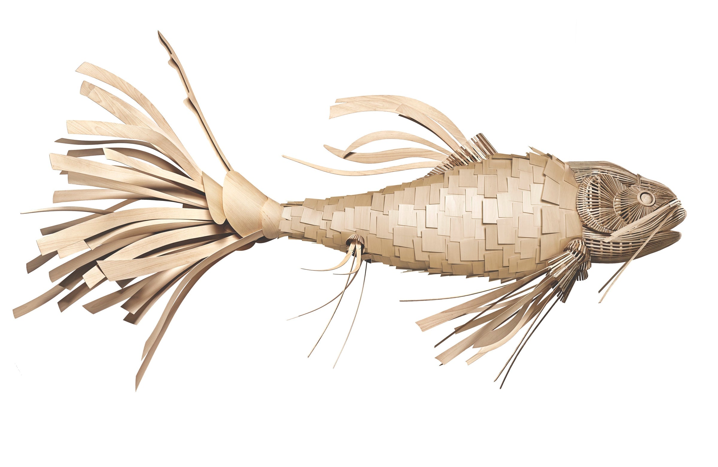 Koi Suspension Lamp