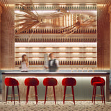 Koi Suspension Lamp