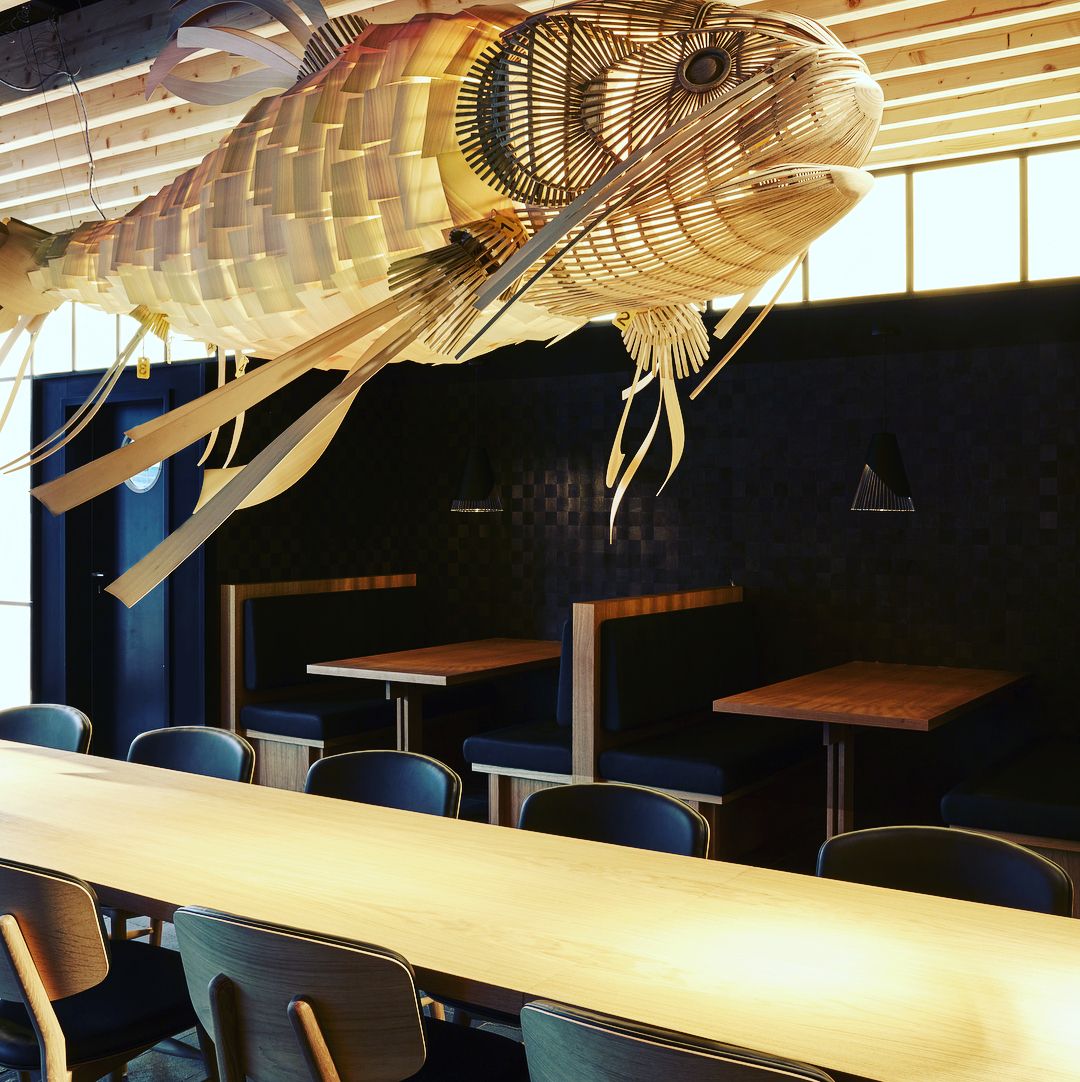 Koi Suspension Lamp