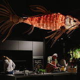 Koi Suspension Lamp