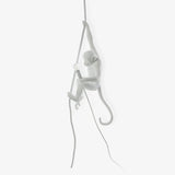 Langlo Monkey Pendant Lighting