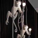 Langlo Monkey Pendant Lighting