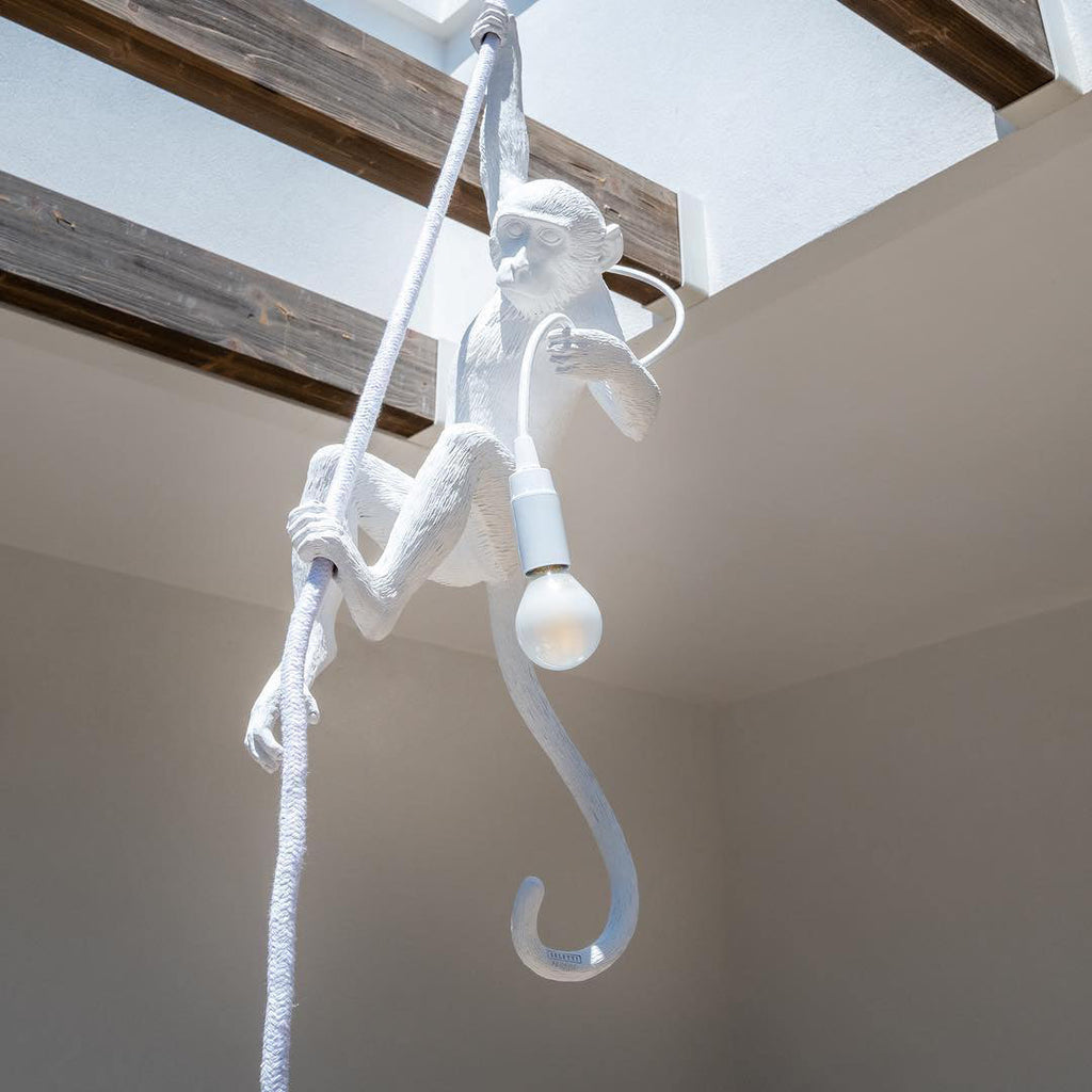 Langlo Monkey Pendant Lighting