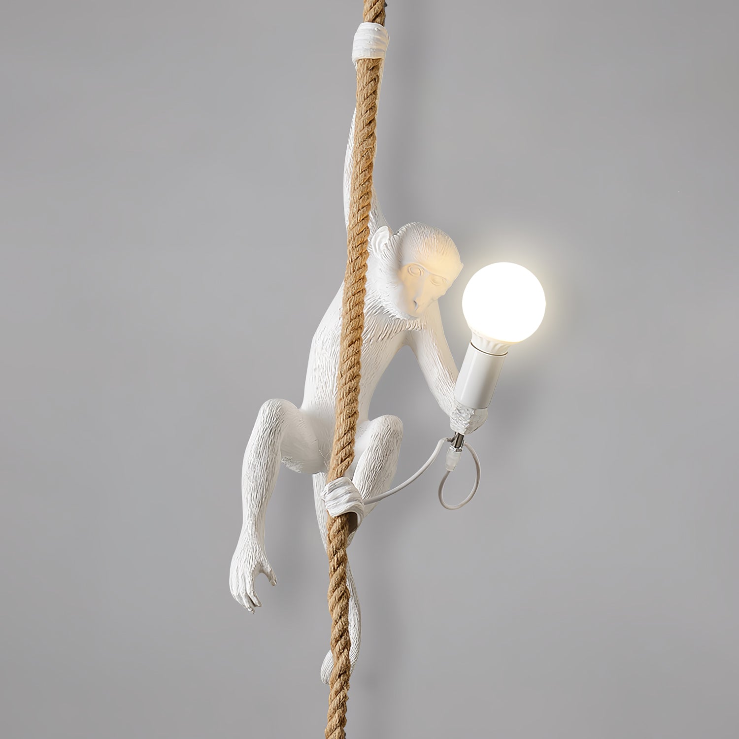 Langlo Monkey Pendant Lighting