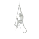 Langlo Monkey Pendant Lighting