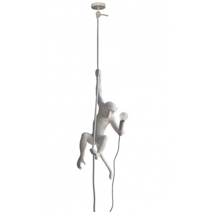Langlo Monkey Pendant Lighting