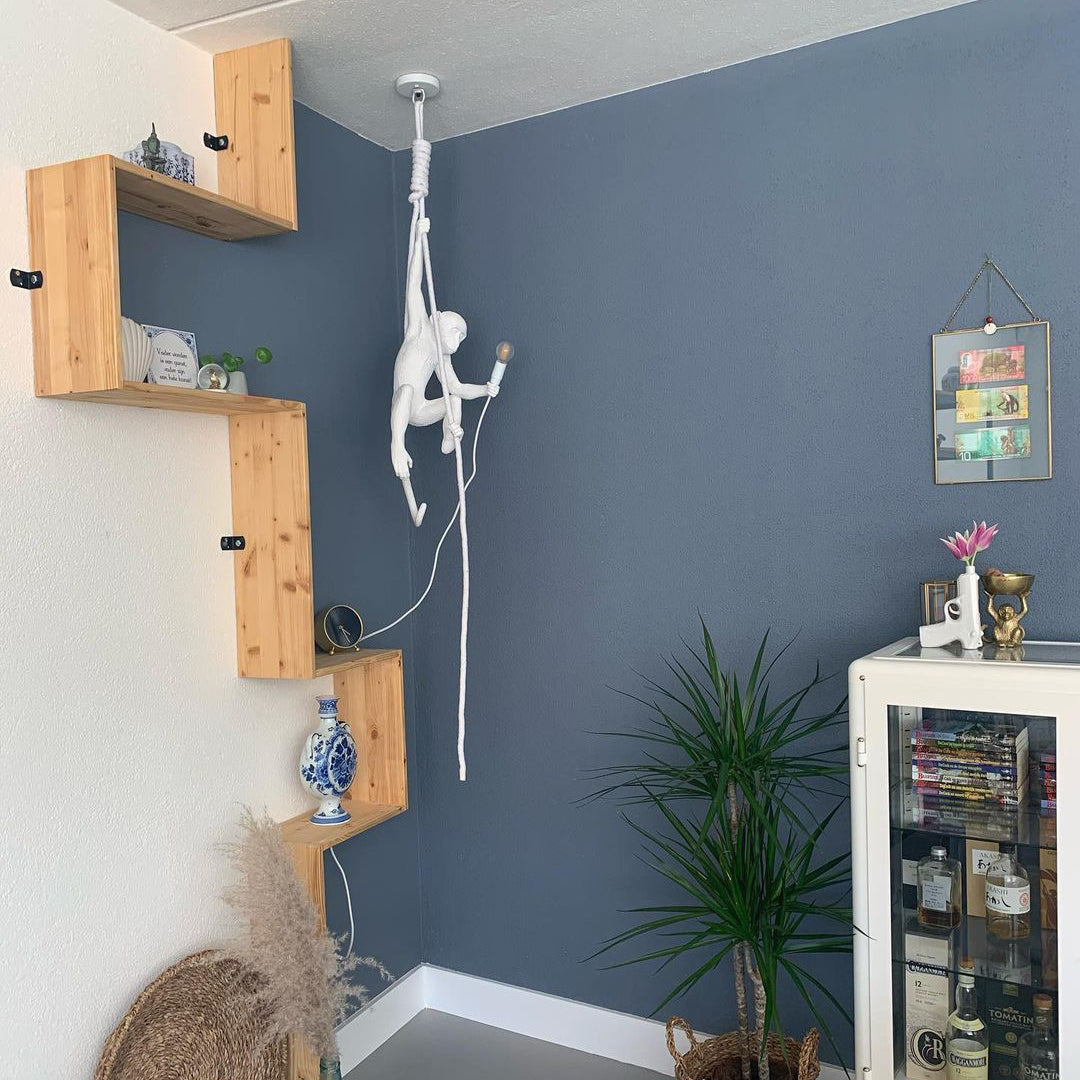 Langlo Monkey Pendant Lighting