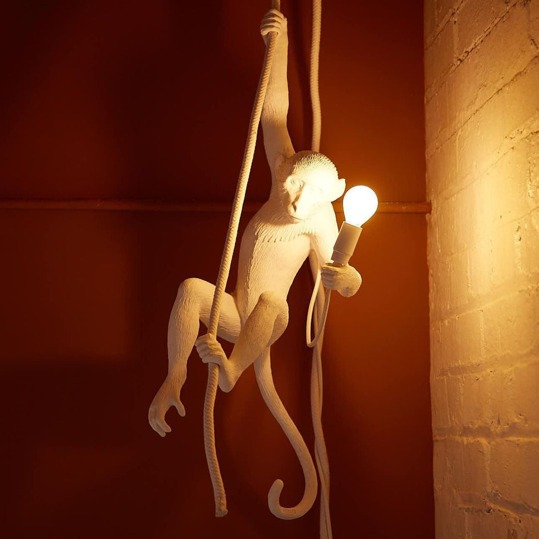 Langlo Monkey Pendant Lighting
