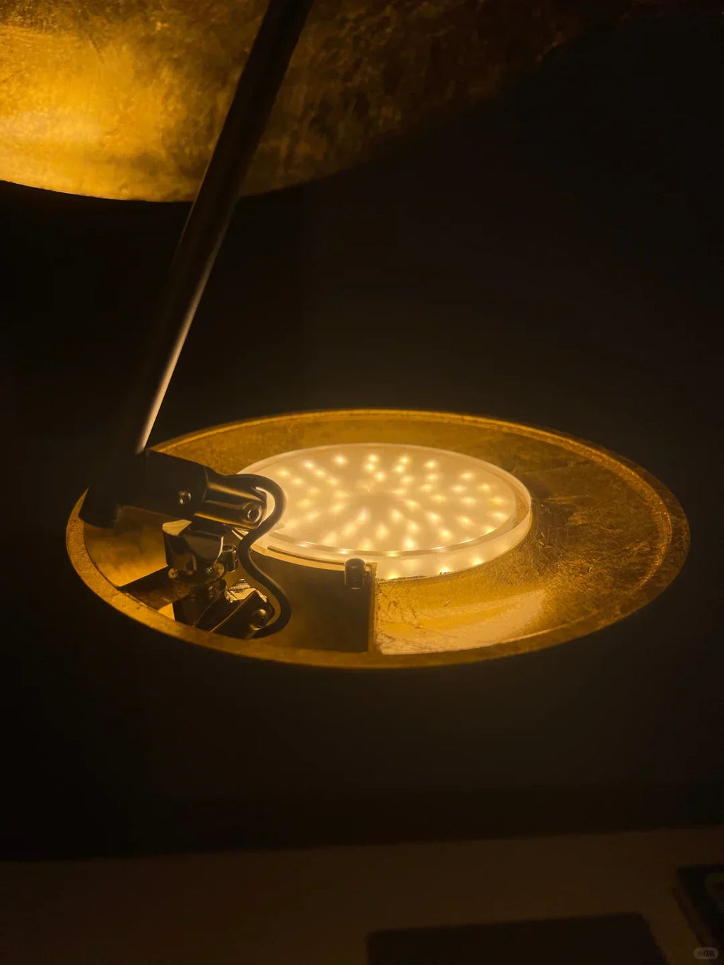 Lederam Pendant Lamp