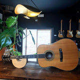 Lederam Pendant Lamp