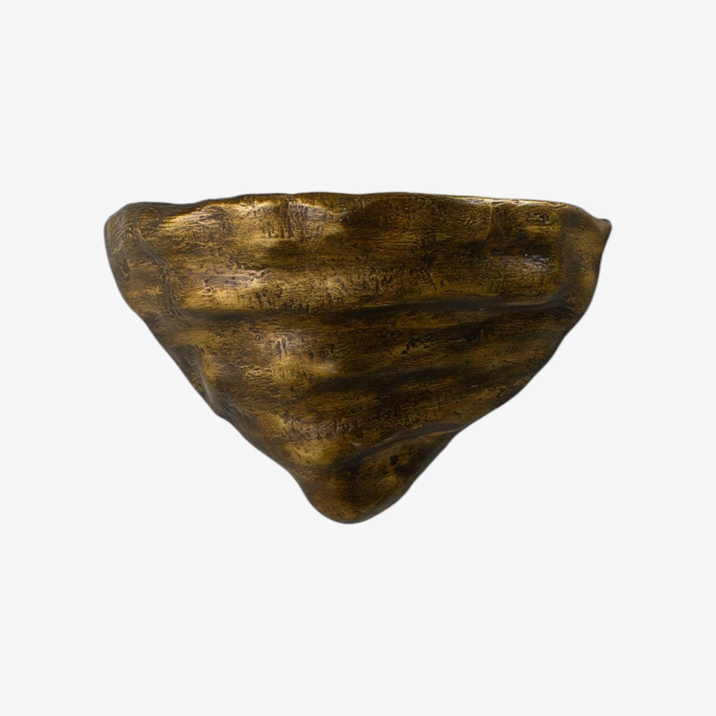 Mollusc Wall Sconce