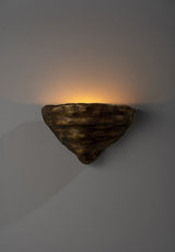 Mollusc Wall Sconce