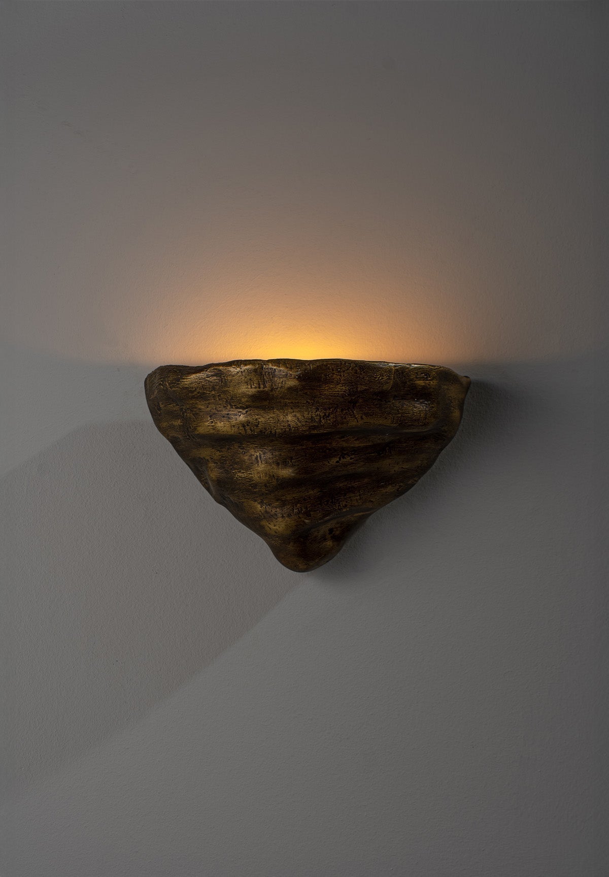 Mollusc Wall Sconce